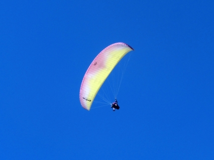 wanaka (39)